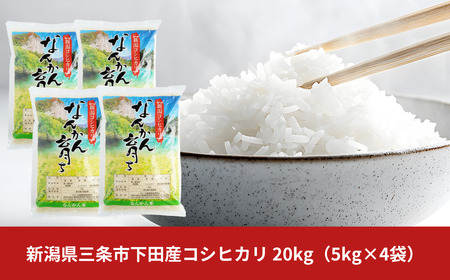 RVqJ 20kg (5kg×4) VOscY Ђ ߘa7NY [JAz]