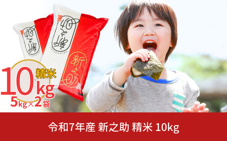新之助 10kg 令和7年産新之助 精米 新潟県 三条市 白熊