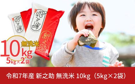 新潟県産 無洗米 新之助 10kg 令和7年 新之助 白熊