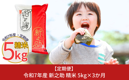 �V�����Y�V�V�� �����5kg×3���� �ߘa7�N �V�V�� [������Д��F]