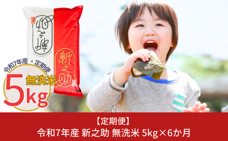 ����� ������ �V�V�� 5kg×6���� �ߘa7�N�Y�V�V��  ������ ���F