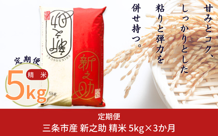 [5kg×3] VV VOsY v15kg ߘa7NY VV 3i3jAł͂ Ă̒     [ORqYX]y030S049z