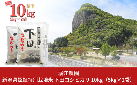 新米 先行予約 新潟県認証特別栽培米 下田コシヒカリ 10kg 令和6年産 三条市産 こしひかり [堀江農園][020S050] 特別栽培米コシヒカリ こしひかり 特別栽培米 特別栽培米