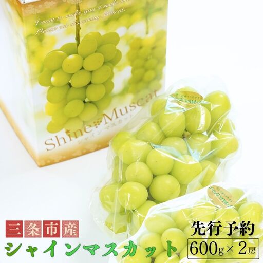 先行予約 シャインマスカット 約600g×2房 令和8年度 新潟県産 種なし ぶどう マスカット JAえちご中越