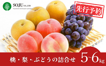 先行予約 季節の桃・梨・ぶどうの詰合せ 合計5~6kg 令和8年度 桃 梨 和梨 ぶどう 贈答用 新潟県 三条市産 果物 [三条果樹専門家集団]