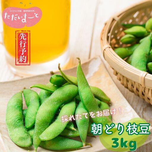 先行予約 採れたてをお届け！朝どり枝豆 3kg（1kg×3袋）令和8年度 新潟県産 えだまめ JAえちご中越