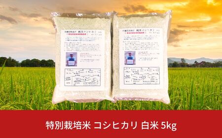 [先行予約]特別栽培米 コシヒカリ 白米 5kg 新潟県産 令和7年産 [佐藤農産有機センター]