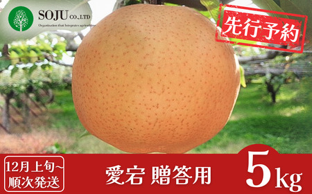 先行予約 和梨 愛宕 約5kg 贈答用 [12月上旬から発送予定] 令和7年度 新潟県三条市産 梨 愛宕梨 [三条果樹専門家集団] 【016P024】