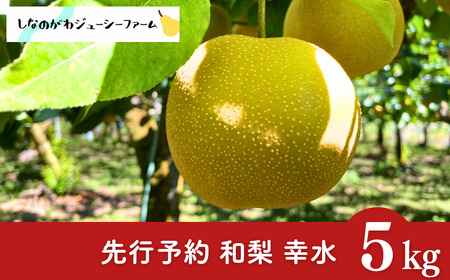 ��s�\�� �a�� �K�� ��5kg �ߘa8�N�x �V���� �O���s�Y �� [���Ȃ̂���W���[�V�[�t�@�[��]�y015S131�z