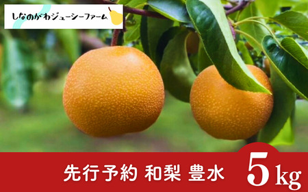 ��s�\�� �a�� �L�� ��5kg �ߘa8�N�x �V���� �O���s�Y �� [���Ȃ̂���W���[�V�[�t�@�[��]�y015S132�z