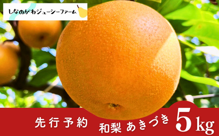 ��s�\�� �a�� �����Â� ��5kg �ߘa8�N�x �V���� �O���s�Y �� [���Ȃ̂���W���[�V�[�t�@�[��]�y015S133�z