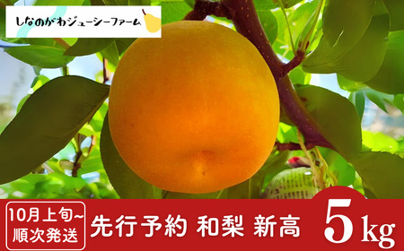 s\ V 5kg [10{甭\] V V OsY V  [Ȃ̂W[V[t@[]
