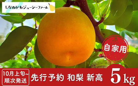 s\ a V Ɨp 5kg [10{甭\] V OsY  [Ȃ̂W[V[t@[]y010S491z