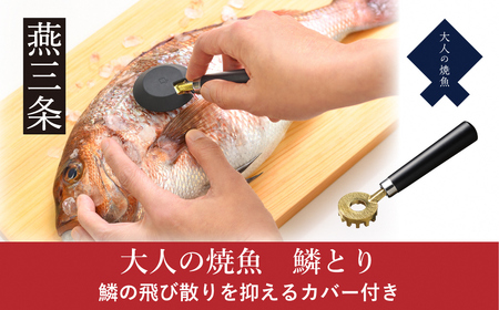 [大人の焼魚] 鱗とり 飛び散らない カバー付 うろこ取り 調理器具 キッチン用品 燕三条製 【011S238】