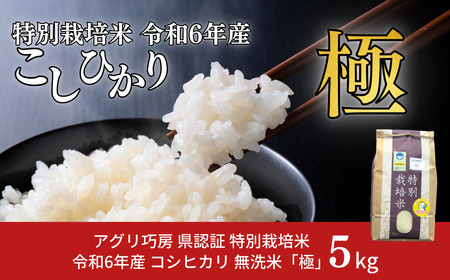 県認証 特別栽培米 コシヒカリ 「極」 5kg 無洗米 令和6年産米 こしひかり 新潟県認証 白米