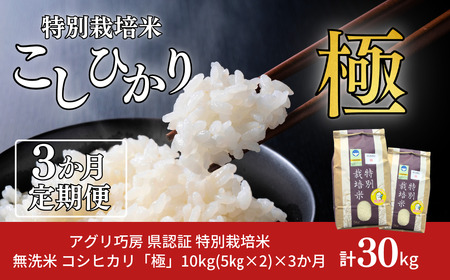 [ 10kg×3] F ʍ͔| RVqJ uɁv 10kg v30kg  ߘa7NY ꓙ Ђ VF  3Ał͂ y071S004z