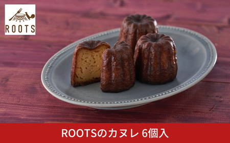 ROOTS̃Jk 6 peBX[[c  L Mtg   Ⓚ y010S656z