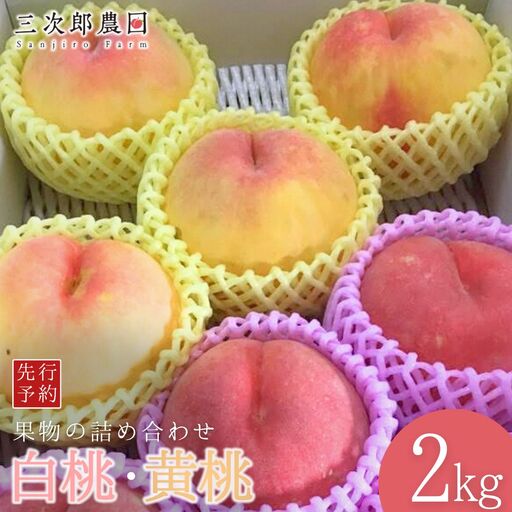 先行予約 白桃・黄桃詰合せ 約2kg(各3玉 計6玉入り) 令和8年度 贈答用桃 新潟県三条市産 桃 三次郎農園