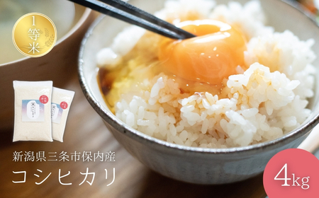 �V�����Y�R�V�q�J�� 1���� 4kg(2kg×2��) 2025�N�Y�R�V�q�J�� �O���s�ۓ��Y�����Ђ��� ���� ���� �ߘa7�N�Y �� �y012S135�z