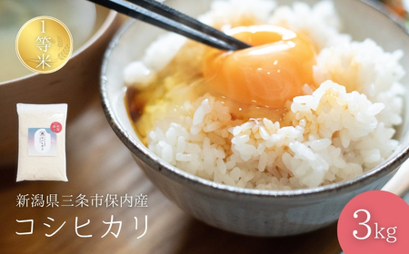 新潟県産コシヒカリ 1等米 3kg 2025年産コシヒカリ 三条市保内産こしひかり 精米 白米 令和7年産 米 