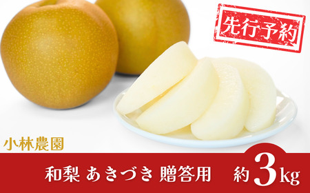 先行予約 和梨 あきづき 約3kg 令和8年度 新潟県三条市産 梨 [小林農園]