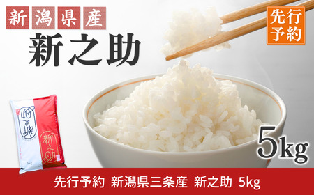 新之助 先行予約 新潟県三条産新之助 5kg×1袋 令和7年産新之助 精米 新潟県産新之助