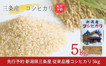 先行予約 コシヒカリ 新潟県三条産コシヒカリ 従来品種 5kg×1袋 令和7年産コシヒカリ 精米 新潟県産コシヒカリ