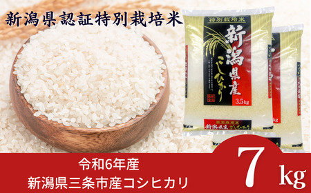 コシヒカリ7kg 令和6年産コシヒカリ 新潟県コシヒカリ 特別栽培米コシヒカリ 精米 コシヒカリ [外山敏雄商店]