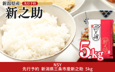 新之助 先行予約 新潟県三条産新之助 5kg×1袋 令和7年産新之助 精米 新潟県産新之助