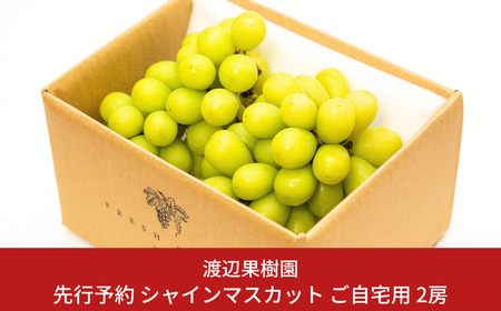先行予約 シャインマスカット ご自宅用 2房 令和8年度 自家用 渡辺果樹園