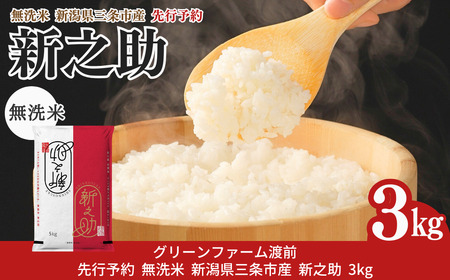 無洗米 先行予約 新之助 無洗米 3kg 無洗米 新潟県三条市産 令和7年産 無洗米 2025年産 無洗米