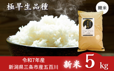 新米 五百川 5kg 新米 新潟県産 新米 [極早生] 新米 令和7年産 新米 三条市 [外山敏雄商店]