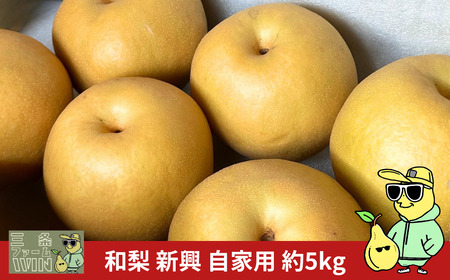 s\ a V Ɨp 5kg ߘa7Nx [Ot@[WIN] y010S841z