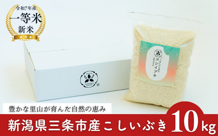 VYԂ 10kg 1 2025NY OsۓY   ߘa7NY  y032S041z