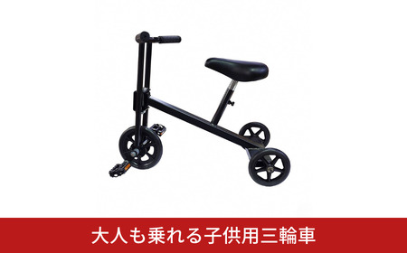 大人も乗れる子供用三輪車 レクリエーション