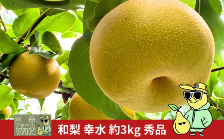 先行予約 和梨 幸水 約3kg 秀品 令和8年度 冷蔵 新潟フルーツ 新潟県産 梨 [三条ファームWIN]