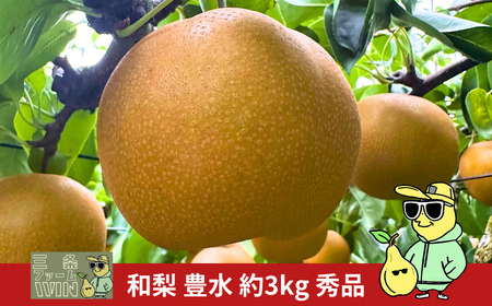 先行予約 和梨 豊水 約3kg 秀品 令和8年度 冷蔵 新潟フルーツ 新潟県産 梨 [三条ファームWIN]