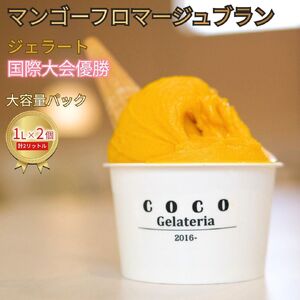 ジェラート国際大会優勝 マンゴーフロマージュブラン 大容量パック 1L×2個 Gelateria coco