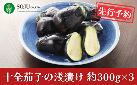 先行予約 十全茄子の浅漬け(約300g×3) 令和8年度 新潟県 三条市産 なす [三条果樹専門家集団]