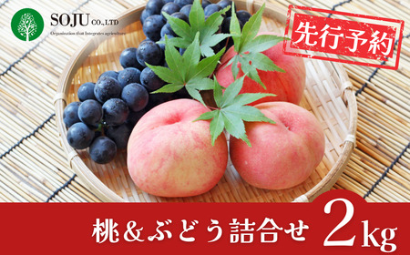 先行予約 季節の桃&ぶどう詰合せ 約2kg 令和8年度 桃(日の出 あかつき なつっこ 川中島白桃 あきぞら 白根白桃 黄金) ぶどう(巨峰 シャインマスカット ロザリオビアンコ セキレイ) 贈答用 新潟県 三条市産 [三条果樹専門家集団]