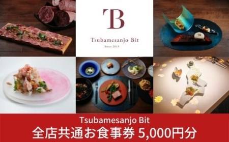 Tsubamesanjo Bit 全店共通お食事券 5,000円分 (燕三条イタリアンBit全店 東京・新潟・燕三条)