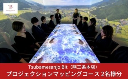 Tsubamesanjo Bit O{X vWFNV}bsOR[X2l y134S001z
