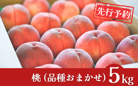 ��s�\�� �� ��5kg 2026�N���� �ߘa8�N�Y �V���� �� �Γc�t���[�c�K�[�f��