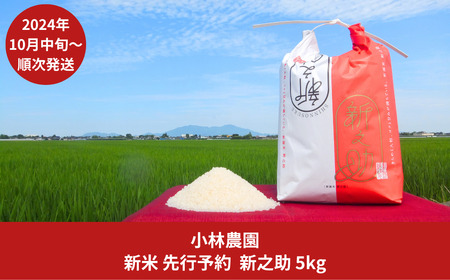 新之助 5kg 新潟県産 令和5年産 2023年産 新之助（しんのすけ） [小林農園] 【010P079】