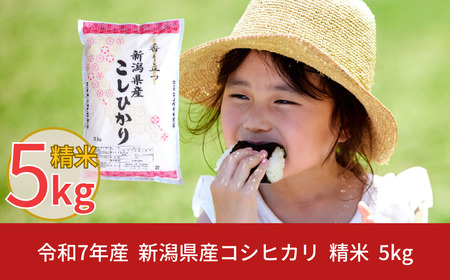 新潟県産 コシヒカリ 5kg 令和7年産 新米 コシヒカリ [株式会社白熊]