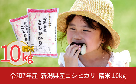 新潟県産 コシヒカリ 10kg 令和7年産 コシヒカリ 米 [株式会社白熊]