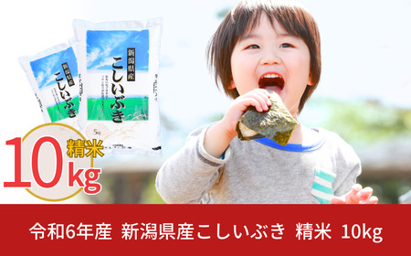 [9月中発送可] 新米 先行予約 新潟県産 こしいぶき 10kg 令和6年産 米 9月発送 [株式会社白熊]【011S037】