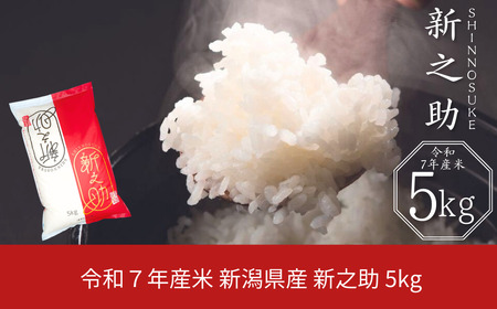 新潟県産 新之助 5kg 白米 令和7年産 しんのすけ [JAえちご中越]【010S078】
