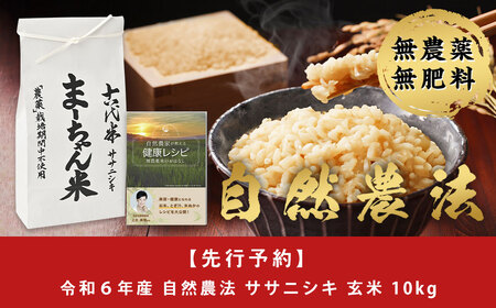 先行予約 新米 ササニシキ 玄米 10kg まーちゃん米 令和6年産米 自然農法 無農薬 自然米 古代米