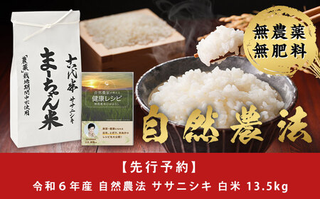 先行予約 新米 ササニシキ 白米 13.5kg まーちゃん米 令和6年産米 自然農法 無農薬 自然米 古代米